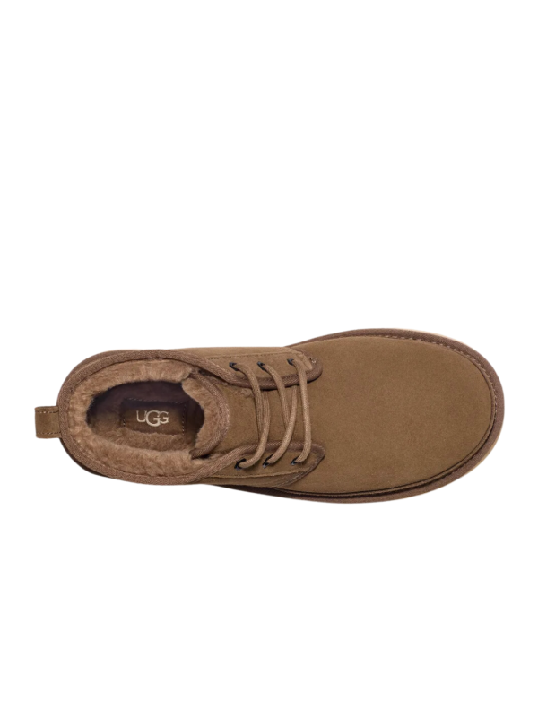 Botín Ugg Neumel 3236 Hickory