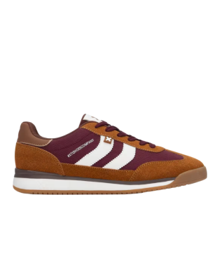 Deportivo Xti 144582 Camel