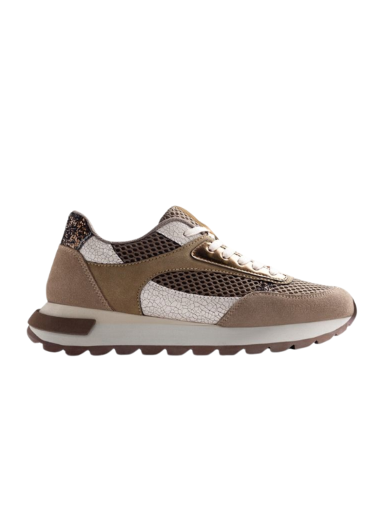 Deportivo Gioseppo Funkley 76494 Taupe