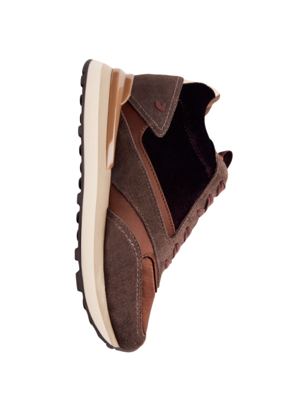 Deportivo Cuña Gioseppo Landfall 77024 Marron