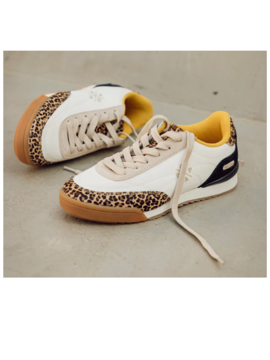 Sneaker Popa Muse Pony Arena