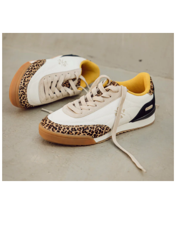 Sneaker Popa Muse Pony Arena