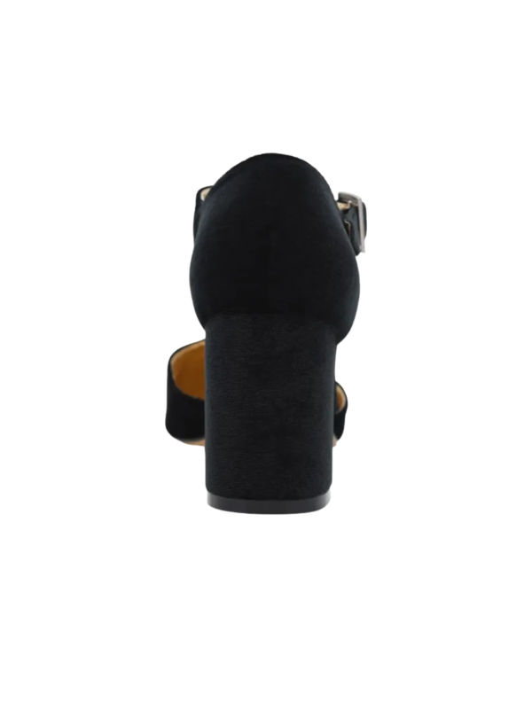 Zapato Azarey 459K215 Negro