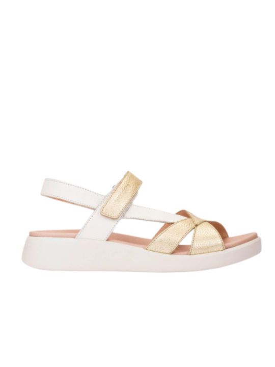 Sandalia Wonders Mar C-6552 Oro