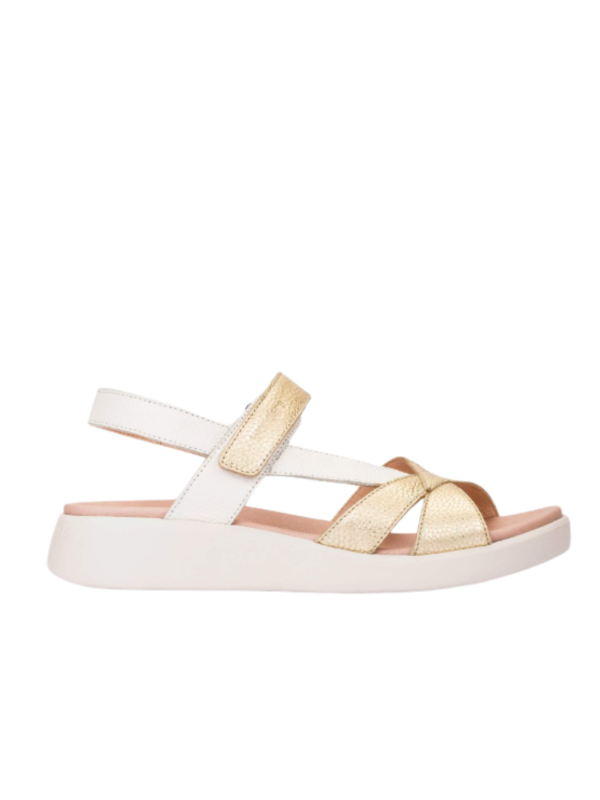 Sandalia Wonders Mar C-6552 Oro