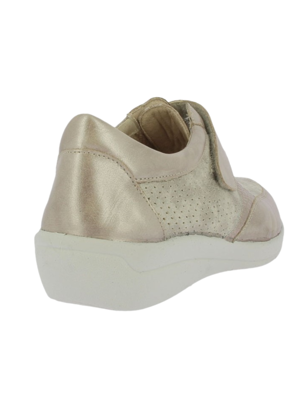 Zapato Doctor Cutillas 43648 Pico