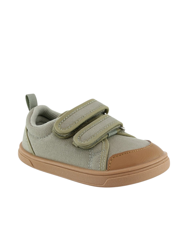 Deportivo Respetuoso Blanditos Koi Kaki