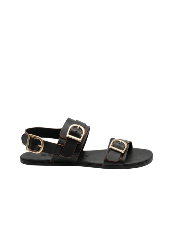 Sandalia Barefoot Coqueflex 1567 Negro