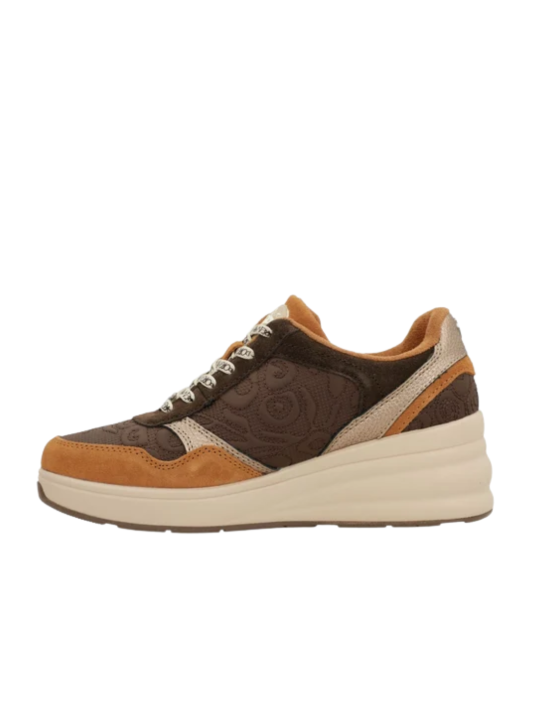 Deportivo Anekke Dubai 433 Marrón